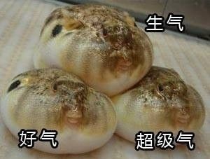 快要把人气死的杠精是种什么精? 骚操作 第9张 快要把人气死的杠精是种什么精? 骚操作 第9张