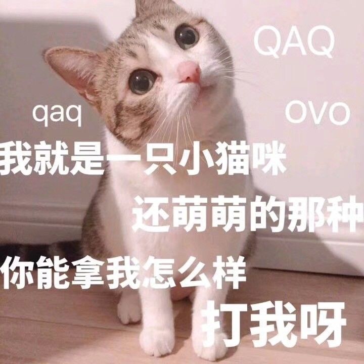 快要把人气死的杠精是种什么精? 骚操作 第11张 快要把人气死的杠精是种什么精? 骚操作 第11张