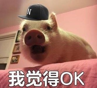 快要把人气死的杠精是种什么精? 骚操作 第20张 快要把人气死的杠精是种什么精? 骚操作 第20张