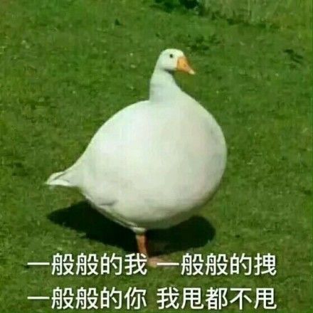 快要把人气死的杠精是种什么精? 骚操作 第14张 快要把人气死的杠精是种什么精? 骚操作 第14张