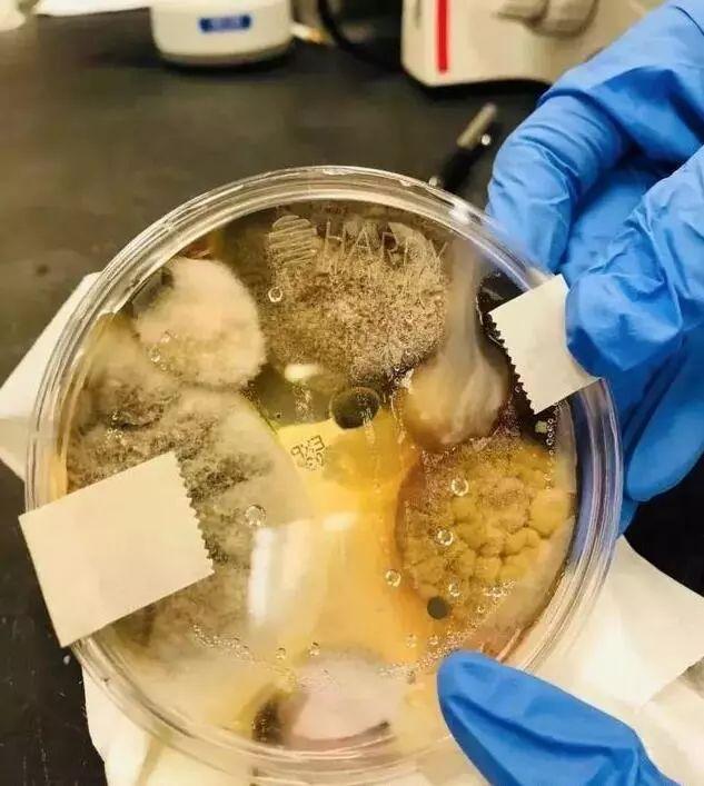 别再用厕所里的烘手机、洗手液了！用完的恶心程度难以想象！ 骚操作 第3张