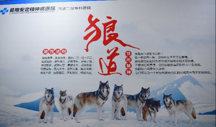 网络推销野鸡医院骗财，深圳打掉医疗诈骗团伙抓获30人 骚操作 第2张