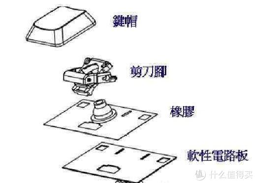 【机械键盘横评】终篇--青轴、红轴、茶轴、黑轴、银轴、静音红轴、静音黑轴、薄膜键盘横向对比 小知识 第5张